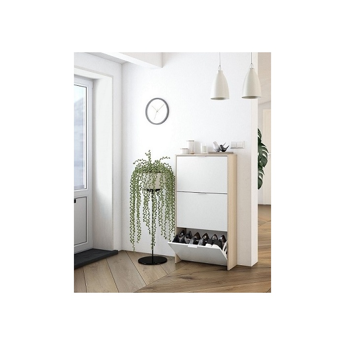 Zapatero Puertas abatibles