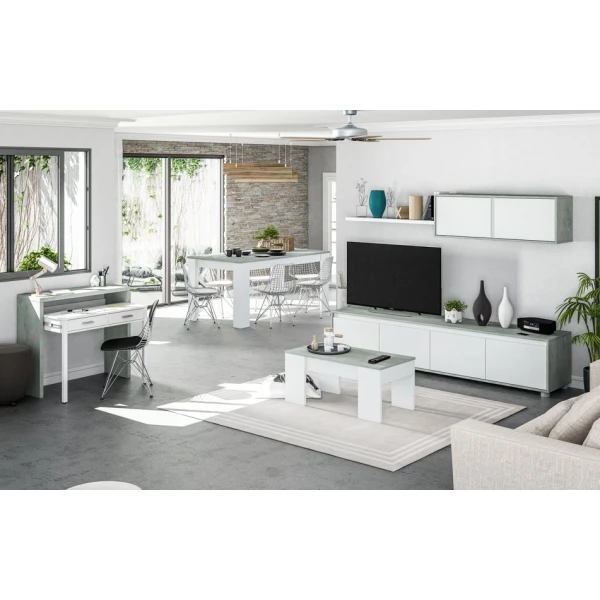 Conjunto Mueble Salon