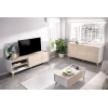 Conjunto muebles de salón