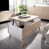 Conjunto muebles de salón