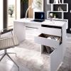 MESA ESCRITORIO CON 2 CAJONES Y PUERTA STILO